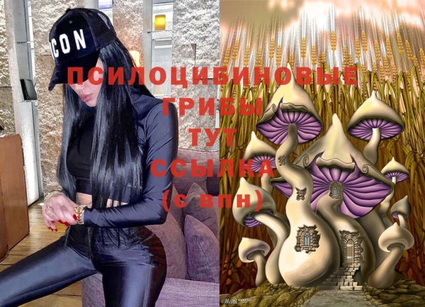 дурь Приозерск