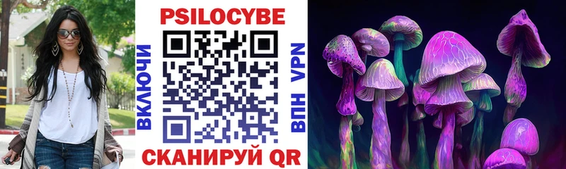 Псилоцибиновые грибы ЛСД Сергач